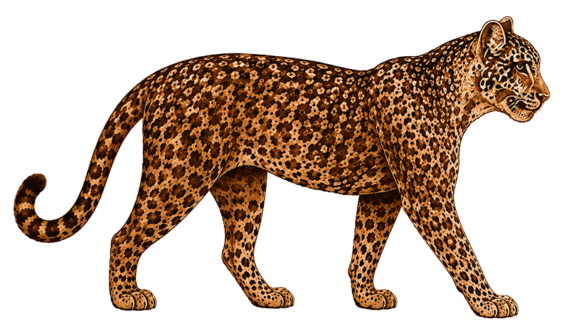 Paradiso Jaguar