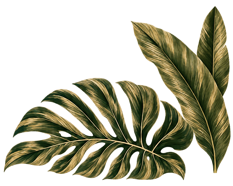 Paradiso Leaves