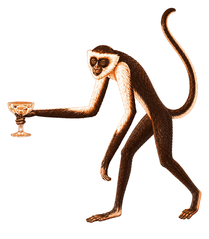 Paradiso Monkey
